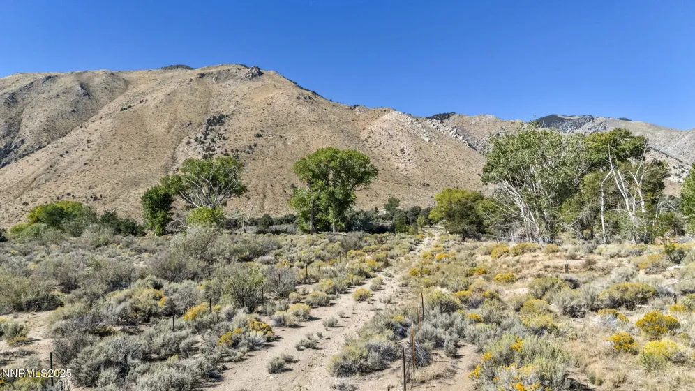456 Upper Colony, Smith Valley, Nevada 89444, ,Land,Residential,Upper Colony,250056277
