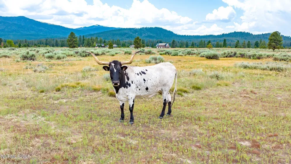 6200 Westside, Calpine, California 96124, 5 Bedrooms Bedrooms, ,8 BathroomsBathrooms,Residential,Residential,Westside,250056362