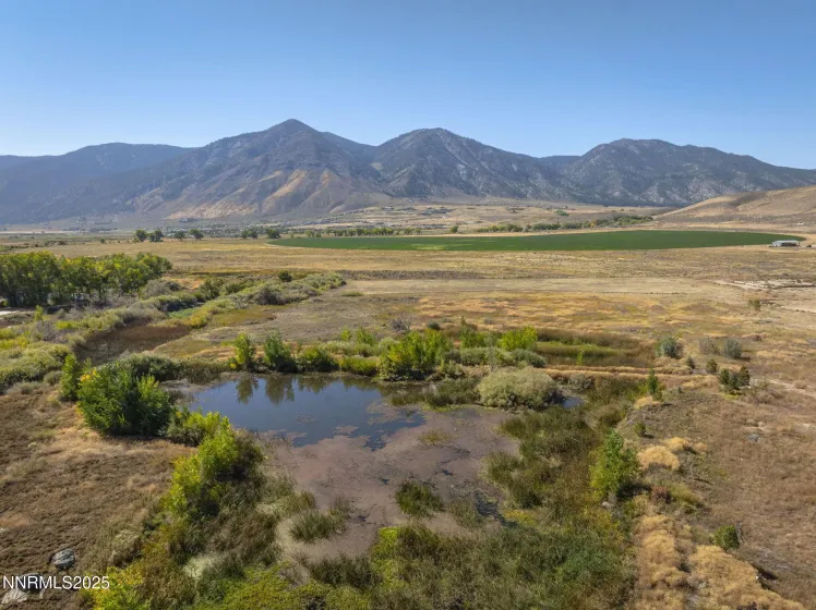 2960 Oasis Springs, Minden, Nevada 89423, 4 Bedrooms Bedrooms, ,4 BathroomsBathrooms,Residential,Residential,Oasis Springs,250056365