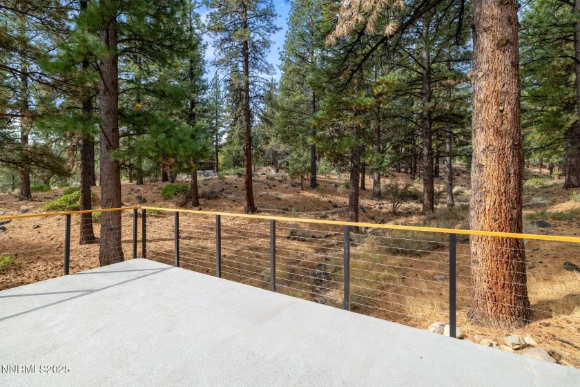 16435 Snow Flower, Reno, Nevada 89511, 5 Bedrooms Bedrooms, ,4 BathroomsBathrooms,Residential,Residential,Snow Flower,250056413