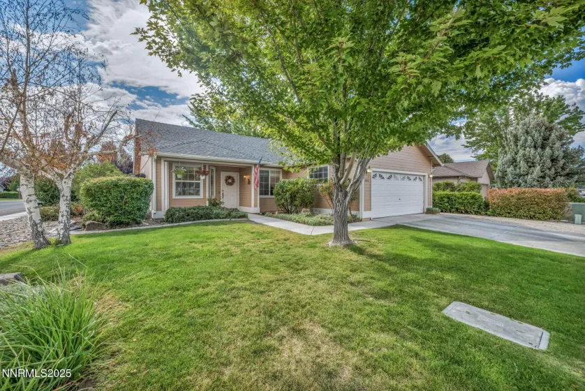 1317 Brooke, Gardnerville, Nevada 89410, 3 Bedrooms Bedrooms, ,2 BathroomsBathrooms,Residential,Residential,Brooke,250056443