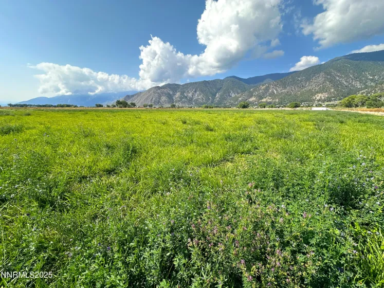 2460 Deerhaven, Minden, Nevada 89423, ,Land,Residential,Deerhaven,250056448