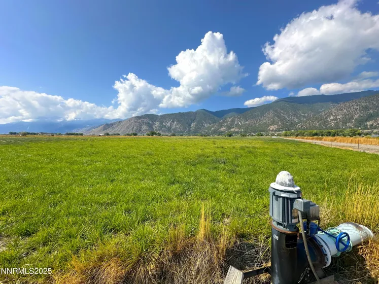 2460 Deerhaven, Minden, Nevada 89423, ,Land,Residential,Deerhaven,250056448
