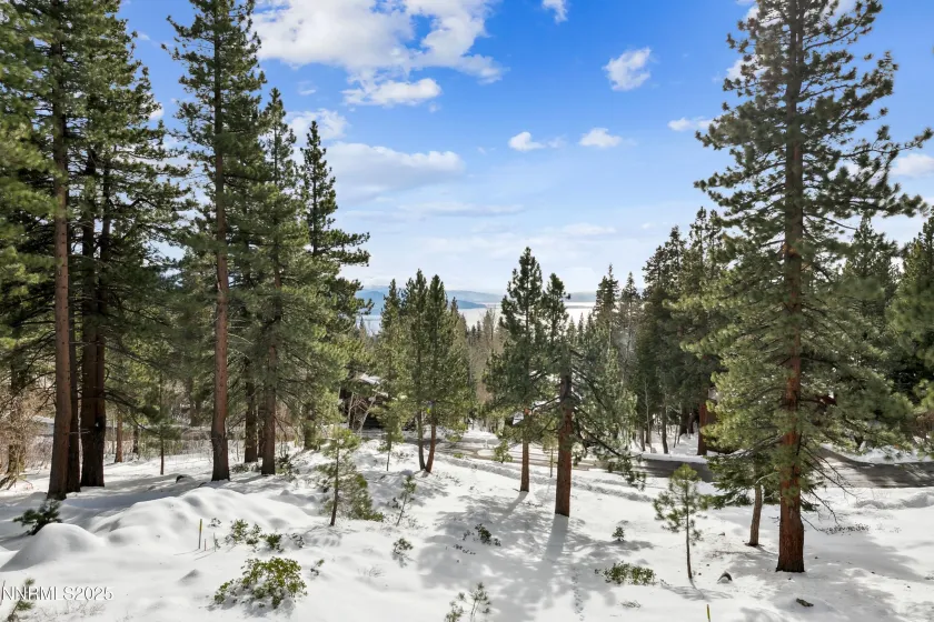 987 Wander, Incline Village, Nevada 89451, 4 Bedrooms Bedrooms, ,4 BathroomsBathrooms,Residential,Residential,Wander,250056457