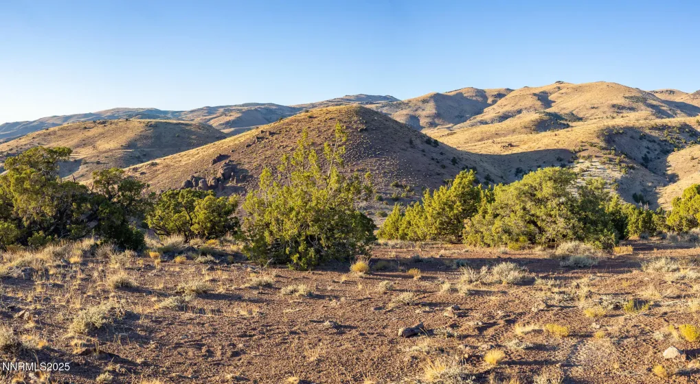 1955 Piute Creek, Reno, Nevada 89510, ,Land,Residential,Piute Creek,250056471