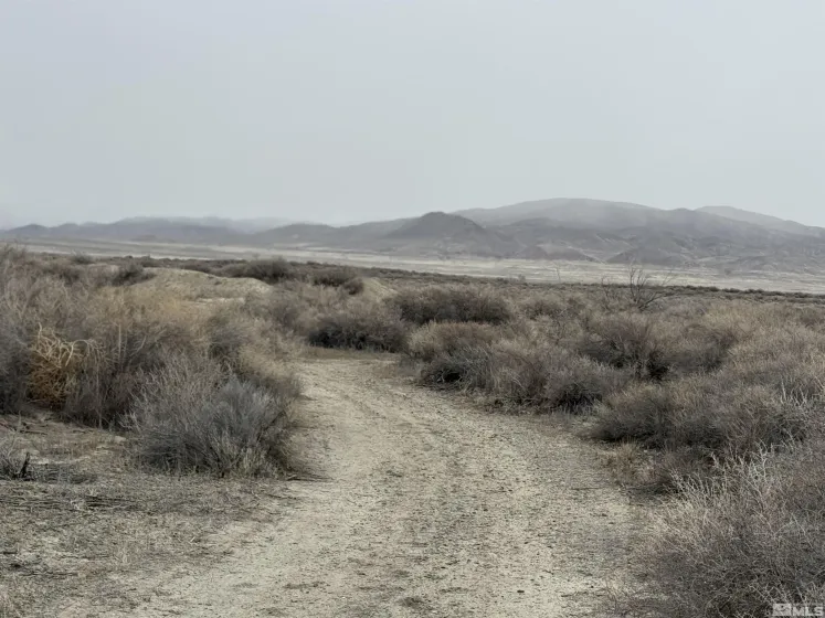 2500 Old Emigrant, Lovelock, Nevada 89419, ,Land,Residential,Old Emigrant,250003581