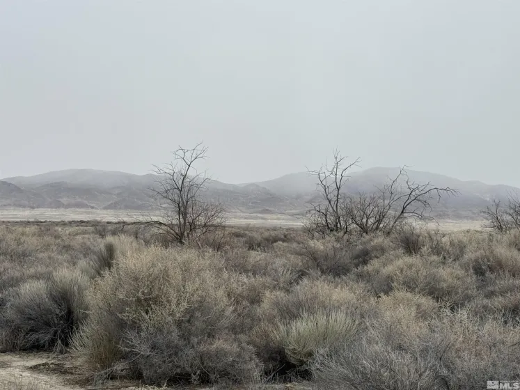 2500 Old Emigrant, Lovelock, Nevada 89419, ,Land,Residential,Old Emigrant,250003581