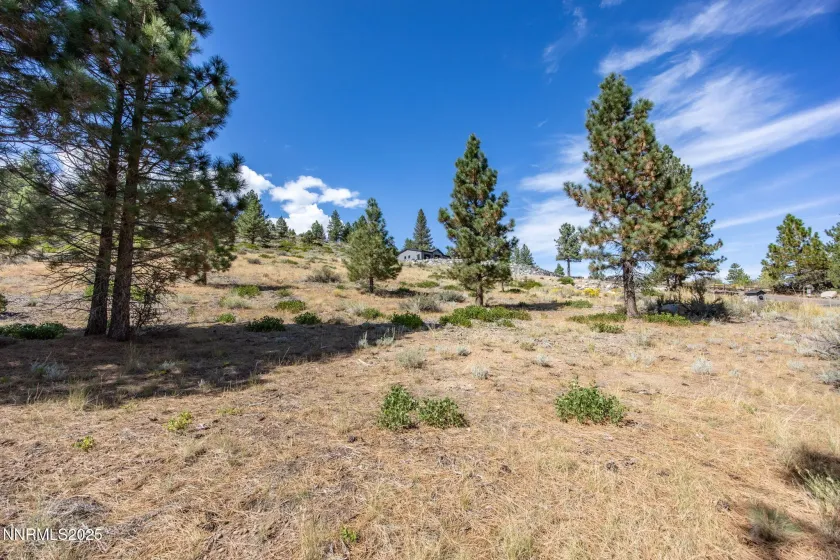 32 Bennington, Reno, Nevada 89511, ,Land,Residential,Bennington,250056534