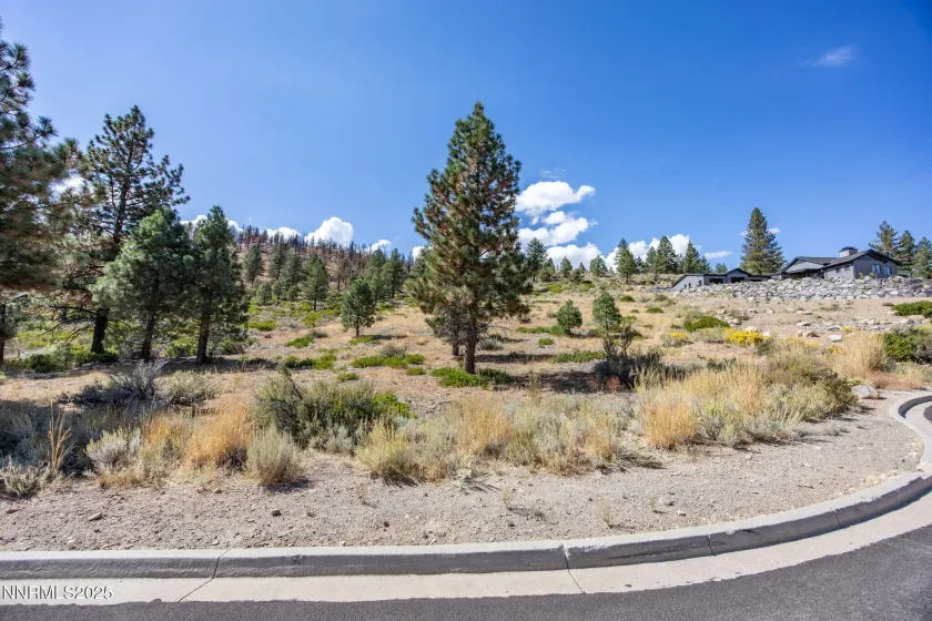 32 Bennington, Reno, Nevada 89511, ,Land,Residential,Bennington,250056534