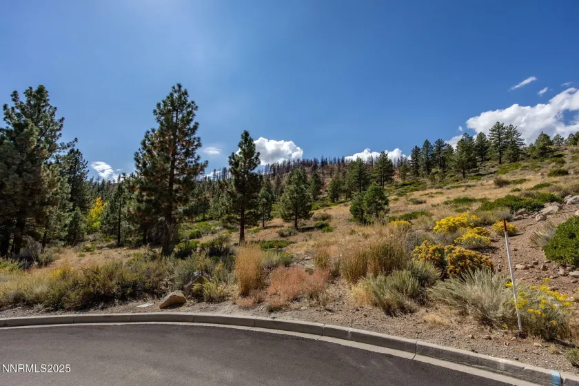 32 Bennington, Reno, Nevada 89511, ,Land,Residential,Bennington,250056534