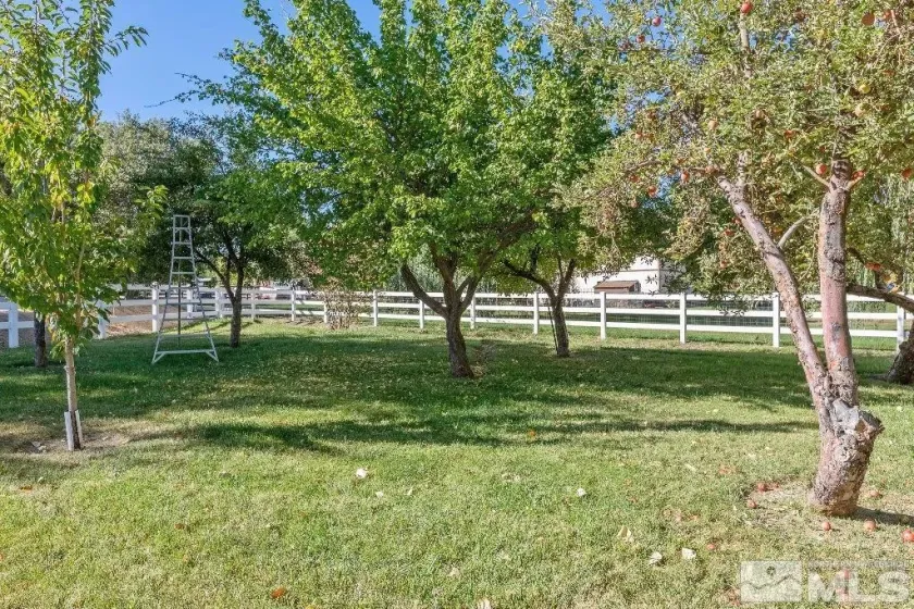 1965 Palmira, Reno, Nevada 89511, 4 Bedrooms Bedrooms, ,3 BathroomsBathrooms,Residential,Residential,Palmira,250002967