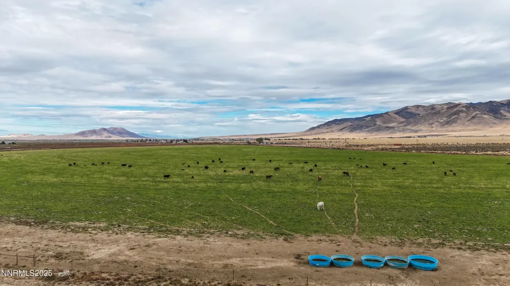 2900 Van Diest, Winnemucca, Nevada 89445, 4 Bedrooms Bedrooms, ,3 BathroomsBathrooms,Farm & Ranch,Residential,Van Diest,250056723 2900 Van Diest, Winnemucca, Nevada 89445, 4 Bedrooms Bedrooms, ,3 BathroomsBathrooms,Farm & Ranch,Residential,Van Diest,250056723