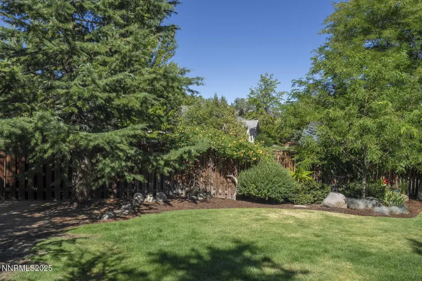 Back yard