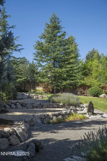 Back yard
