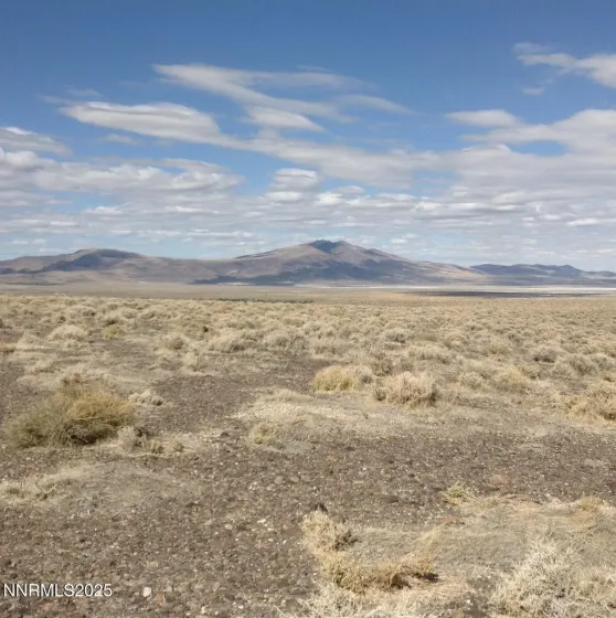98 Alpine Drive, Fernley, Nevada 89408, ,Land,Residential,Alpine Drive,250056795