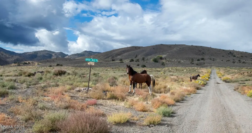 77 Ophir Mill, Dayton, Nevada 89403, 3 Bedrooms Bedrooms, ,2 BathroomsBathrooms,Residential,Residential,Ophir Mill,250056801