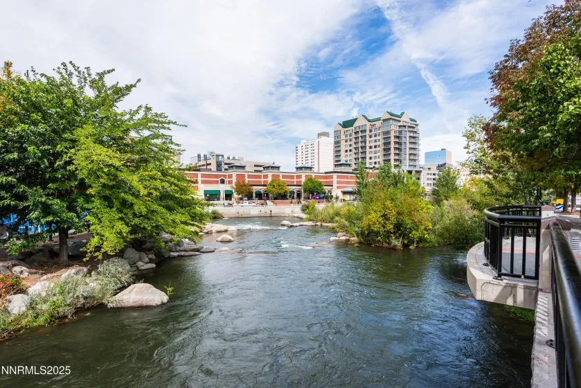 280 Island, Reno, Nevada 89501, 2 Bedrooms Bedrooms, ,2 BathroomsBathrooms,Residential,Residential,Island,250056804