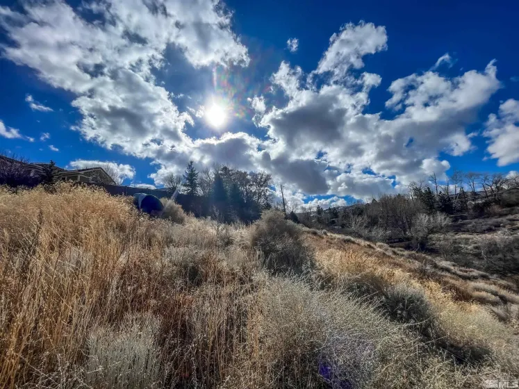 0 Marthiam, Reno, Nevada 89509, ,Land,Residential,Marthiam,240001225