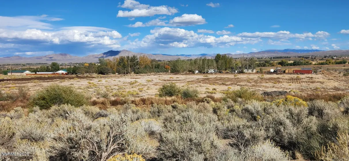 0 Long, Smith Valley, Nevada 89444, ,Land,Residential,Long,250056914