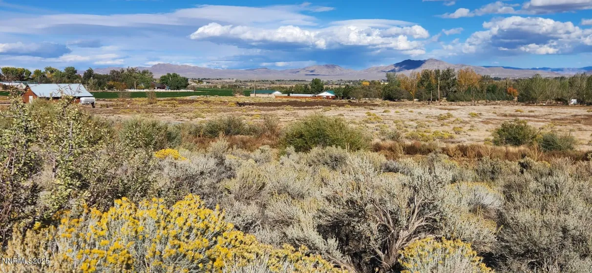 0 Long, Smith Valley, Nevada 89444, ,Land,Residential,Long,250056914