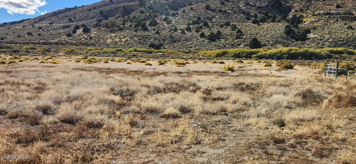 0 Long, Smith Valley, Nevada 89444, ,Land,Residential,Long,250056914