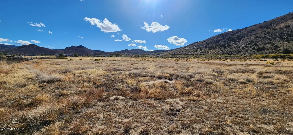 0 Long, Smith Valley, Nevada 89444, ,Land,Residential,Long,250056914