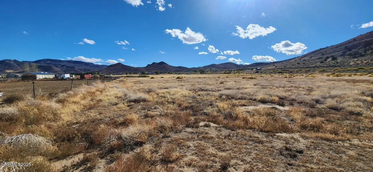 0 Long, Smith Valley, Nevada 89444, ,Land,Residential,Long,250056914