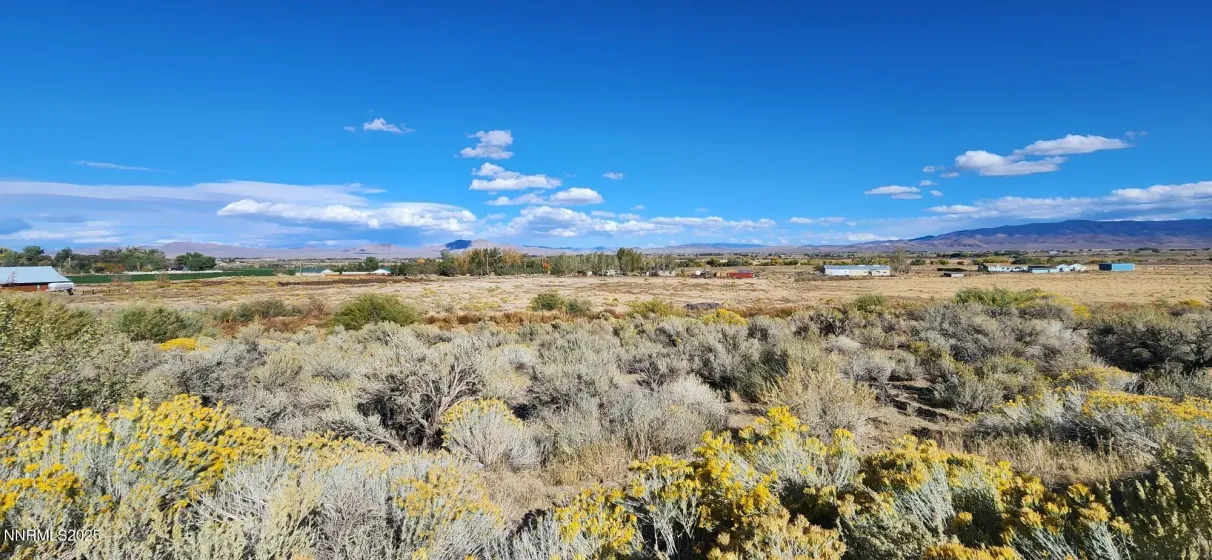 0 Long, Smith Valley, Nevada 89444, ,Land,Residential,Long,250056914