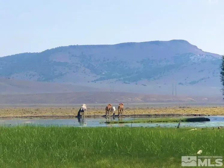0 Superior Millsite Mine, Austin, Nevada 89820, ,Land,Residential,Superior Millsite Mine,250002805