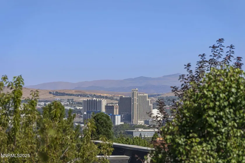 3100 Susileen, Reno, Nevada 89509, 3 Bedrooms Bedrooms, ,3 BathroomsBathrooms,Residential,Residential,Susileen,250056954