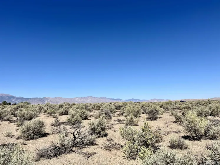 246 Finch, Smith, Nevada 89430, ,Land,Residential,Finch,240012529