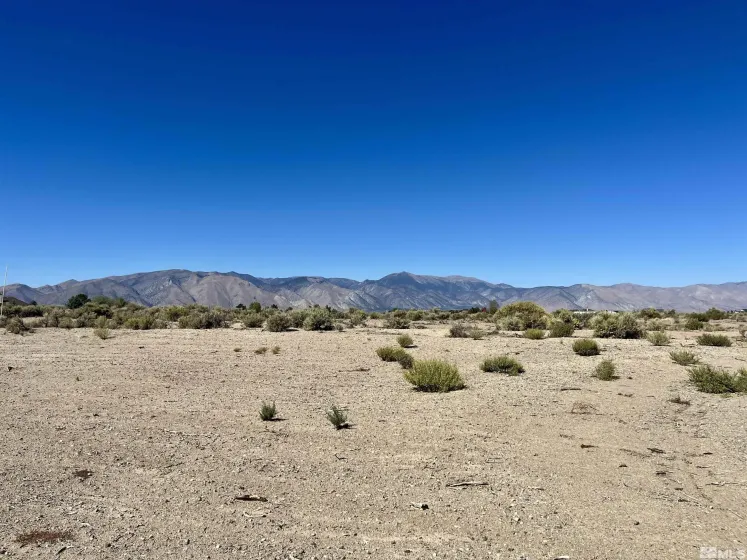 246 Finch, Smith, Nevada 89430, ,Land,Residential,Finch,240012529