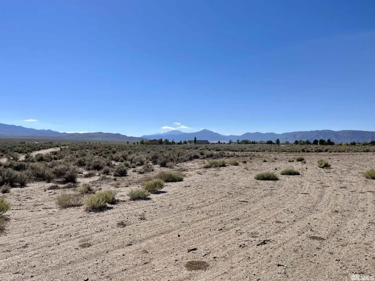 246 Finch, Smith, Nevada 89430, ,Land,Residential,Finch,240012529