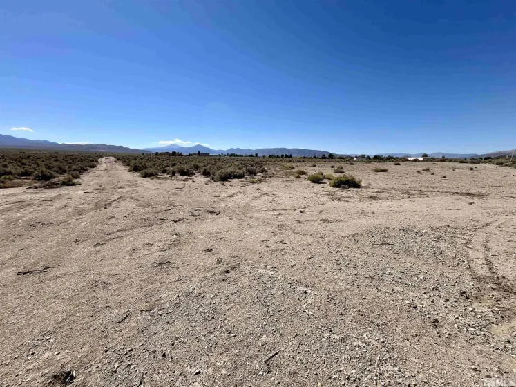 246 Finch, Smith, Nevada 89430, ,Land,Residential,Finch,240012529