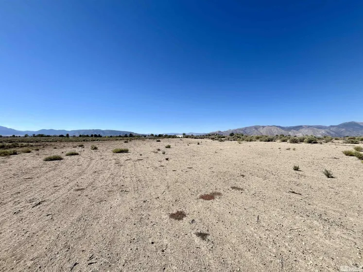 246 Finch, Smith, Nevada 89430, ,Land,Residential,Finch,240012529
