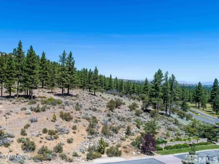 North View of Homesite