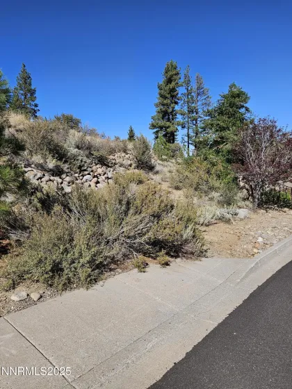 Driveway to Homesite