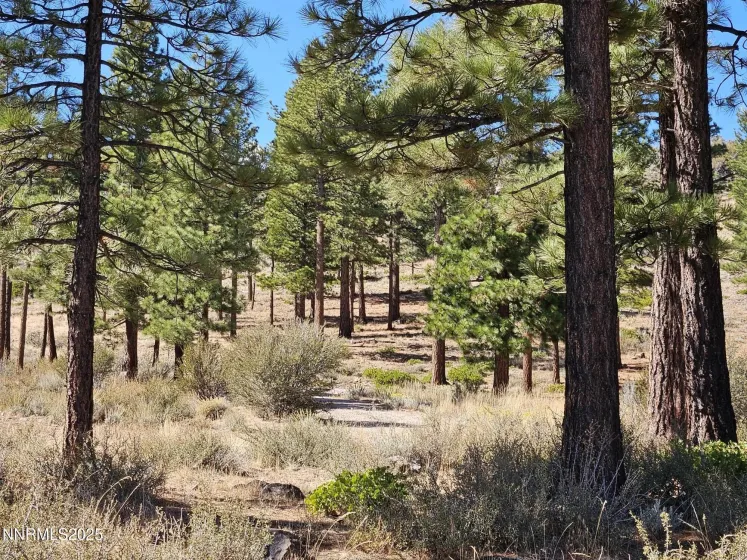 Proposed Septic System Leach Field 5