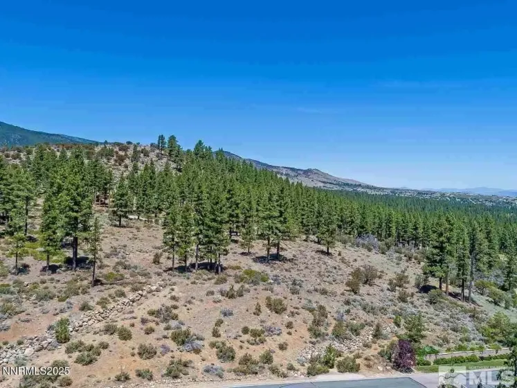 Frontal View of Homesite