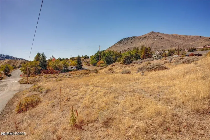 90 O, Virginia City, Nevada 89440, ,Land,Residential,O,250056978