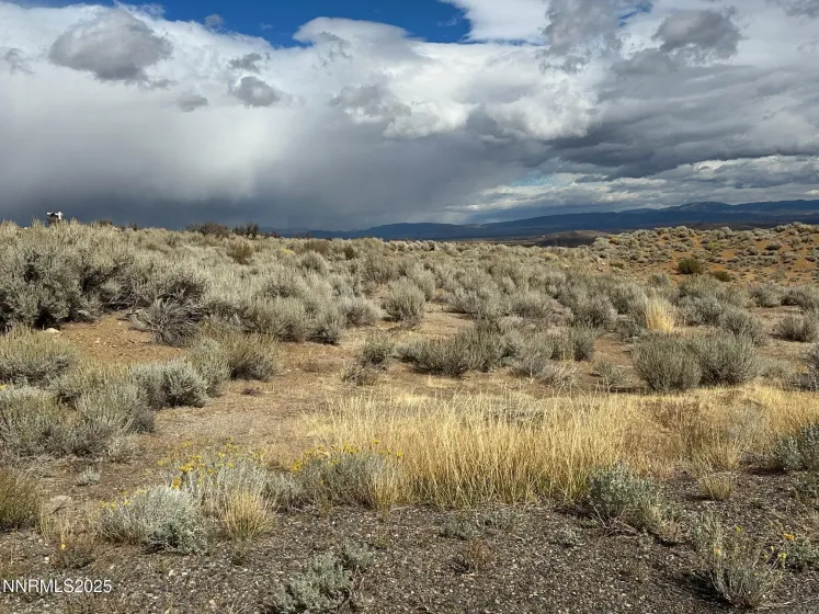 Lot 6 Sunrise Trail, Woodfords, California 96120, ,Land,Residential,Sunrise Trail,250056981