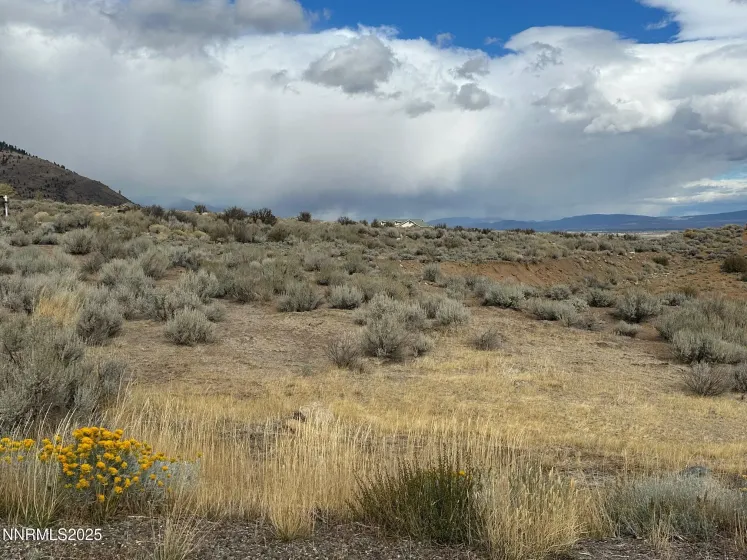 Lot 6 Sunrise Trail, Woodfords, California 96120, ,Land,Residential,Sunrise Trail,250056981