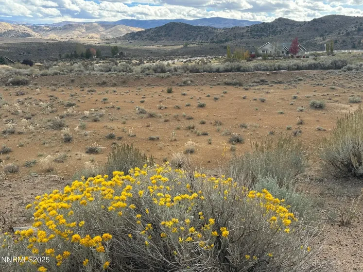 Lot 6 Sunrise Trail, Woodfords, California 96120, ,Land,Residential,Sunrise Trail,250056981
