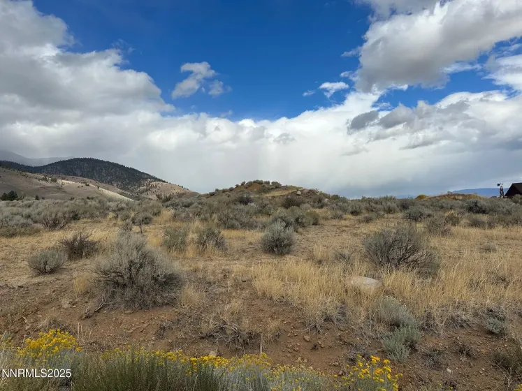 Lot 6 Sunrise Trail, Woodfords, California 96120, ,Land,Residential,Sunrise Trail,250056981