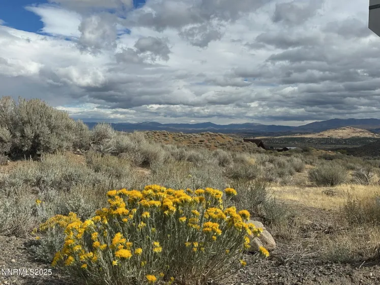 Lot 6 Sunrise Trail, Woodfords, California 96120, ,Land,Residential,Sunrise Trail,250056981