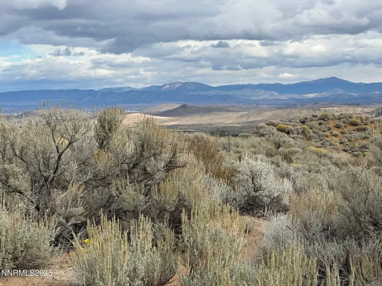 Lot 6 Sunrise Trail, Woodfords, California 96120, ,Land,Residential,Sunrise Trail,250056981
