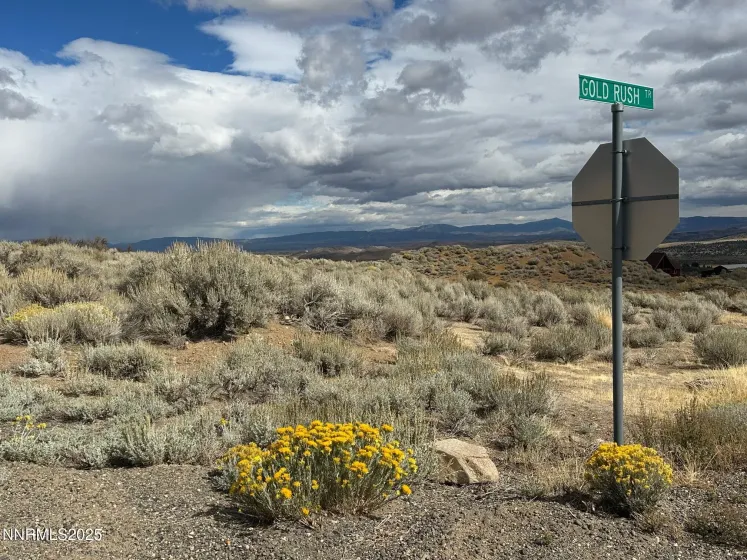 Lot 6 Sunrise Trail, Woodfords, California 96120, ,Land,Residential,Sunrise Trail,250056981