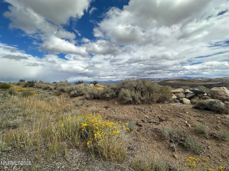 Lot 6 Sunrise Trail, Woodfords, California 96120, ,Land,Residential,Sunrise Trail,250056981