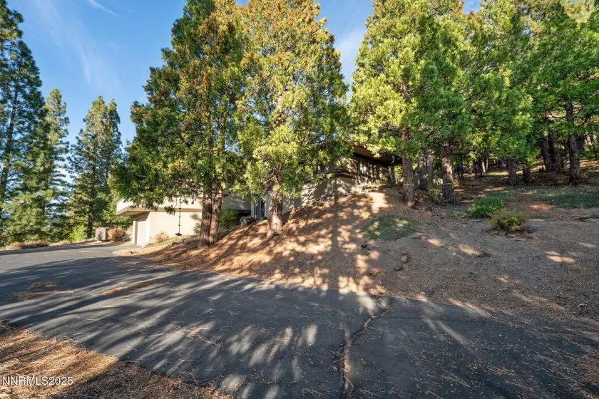 1728 Dream Maker, Portola, California 96122, 3 Bedrooms Bedrooms, ,3 BathroomsBathrooms,Residential,Residential,Dream Maker,250056997