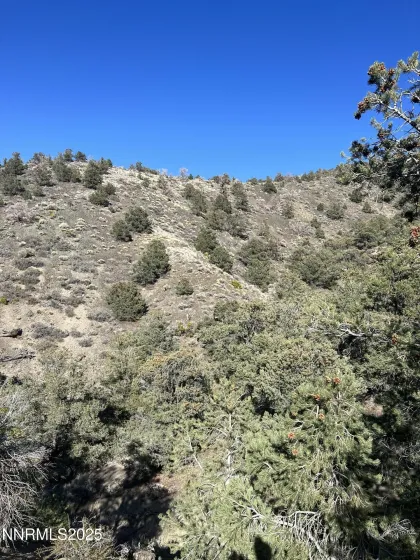 APN 00665121, Hawthorne, Nevada 89415, ,Land,Residential,00665121,250057006